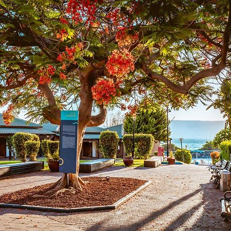 Hotel Daria- Authentic Israeli Experience HaOn Exterior foto